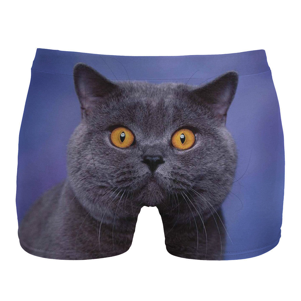 British Cat underwear
