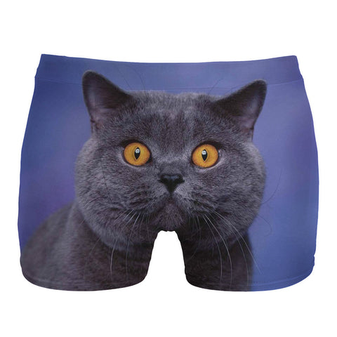 British Cat underwear
