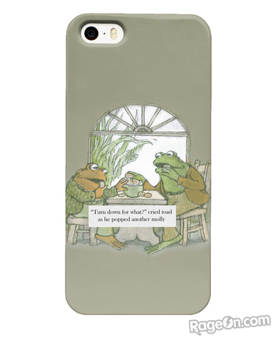 Frog and Toad Phone Case